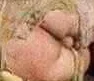 faef1d.webp