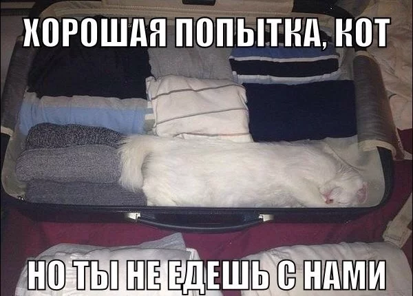 faeja5.webp
