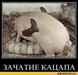 fafaf6.jpg