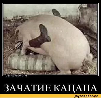 fafaf6.webp