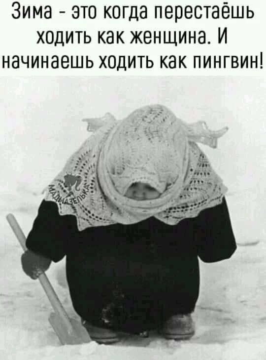 fag1ae.webp