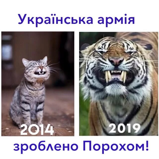 fahjb7.webp