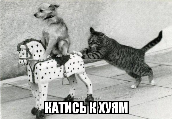 faj5de.jpg