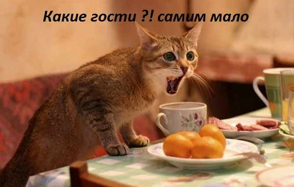 faj6cf.webp