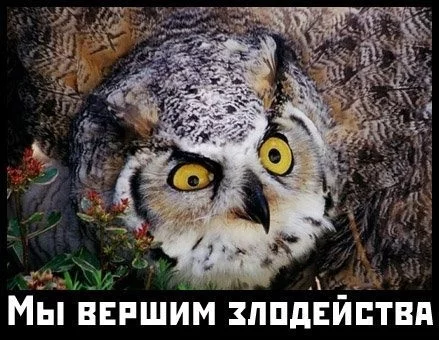 faje9j.webp