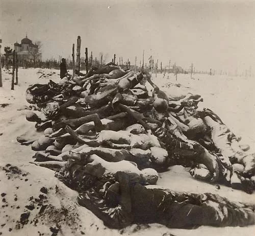 Famine_in_Russia_1921.webp