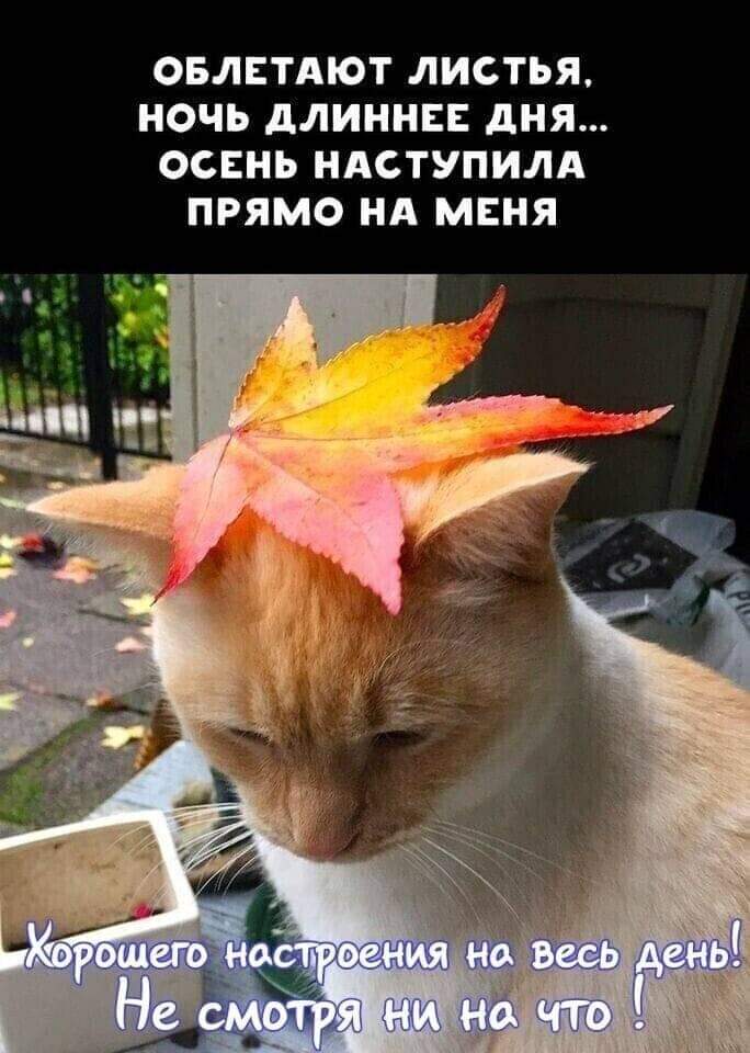 FB-1HF3X0AEDHw1.jpg