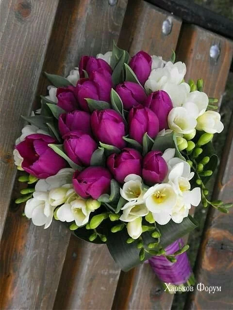 fb027a596d2ba674e.webp