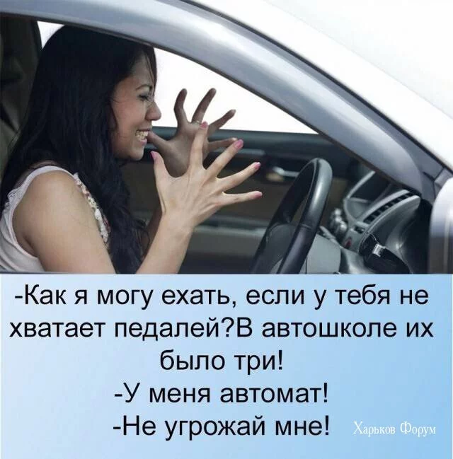fb09715ff097d5ea.webp