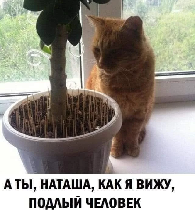 fb166484f9bef5c2.webp