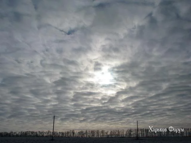 fb1e03d1f30c608c45e6b17e.webp