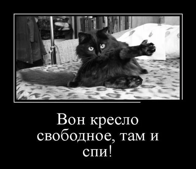 fb34769553.webp