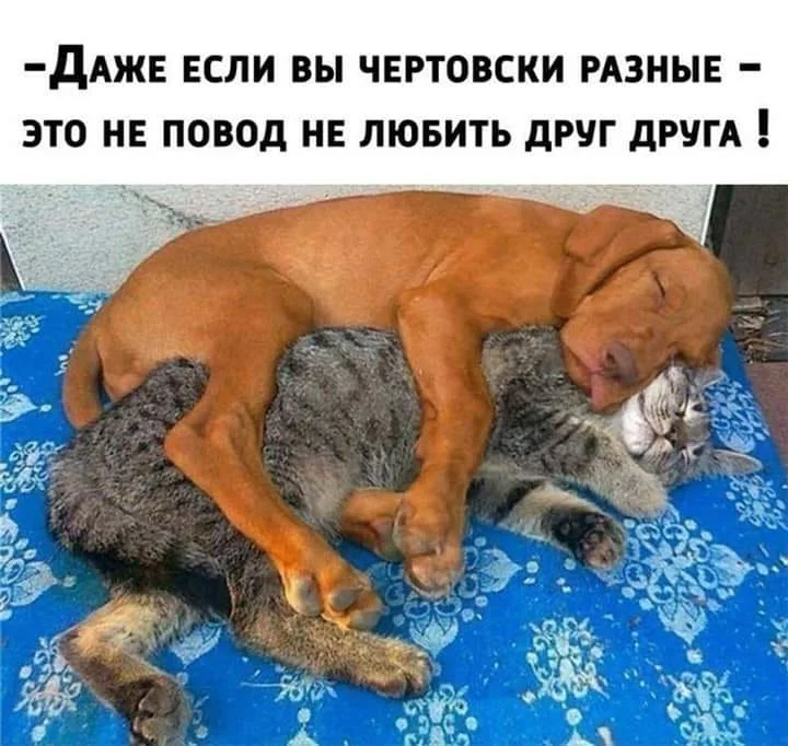fb4bfa.webp