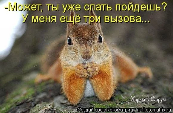 fb5359ea8c4464301ccffa4.webp