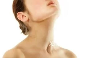 fb5f77c060a46e4677ac779.webp