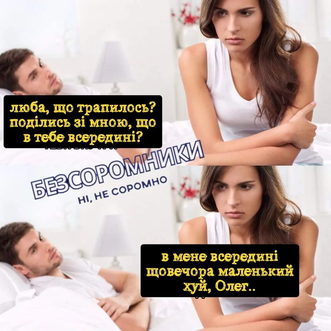 FB_IMG_1698619193674.webp
