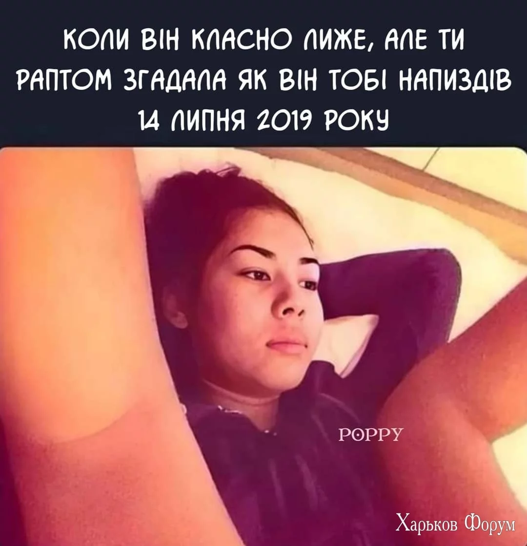FB_IMG_1698853718401.webp