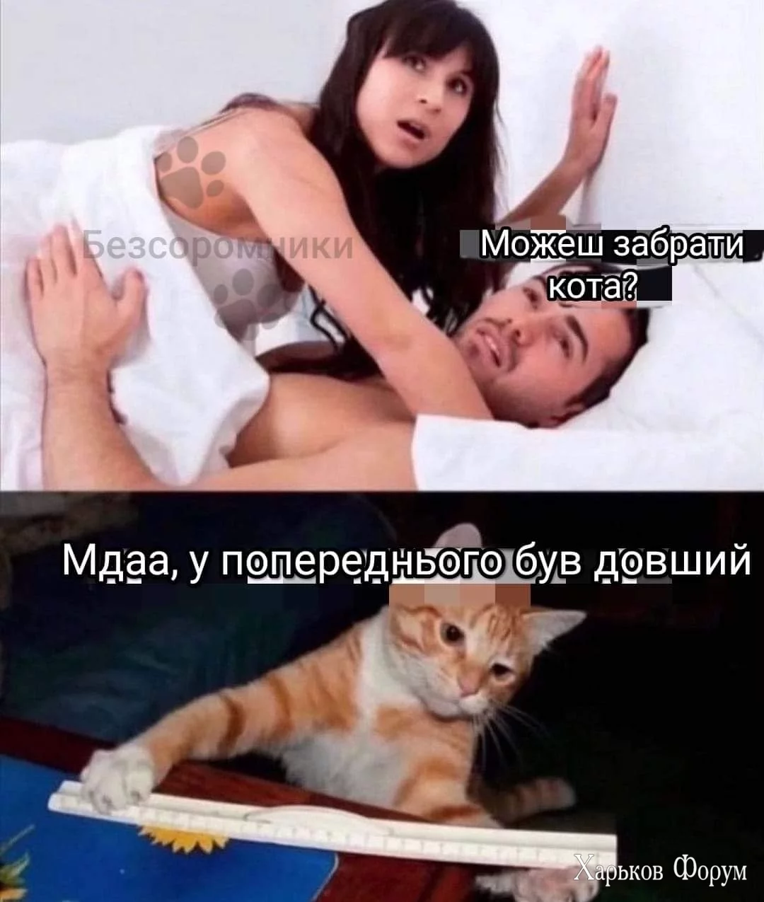 FB_IMG_1698859475177.webp