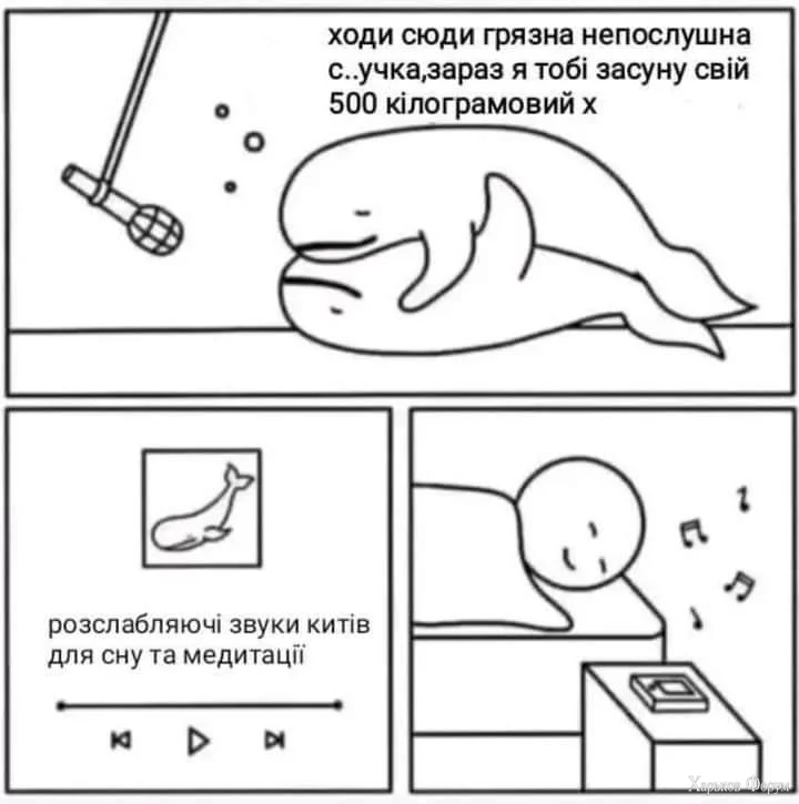 FB_IMG_1699767313661.webp