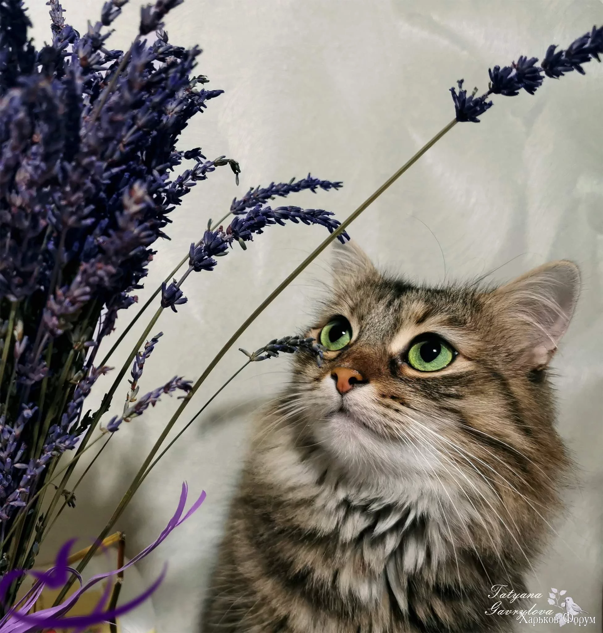 FB_IMG_1700406184192.webp