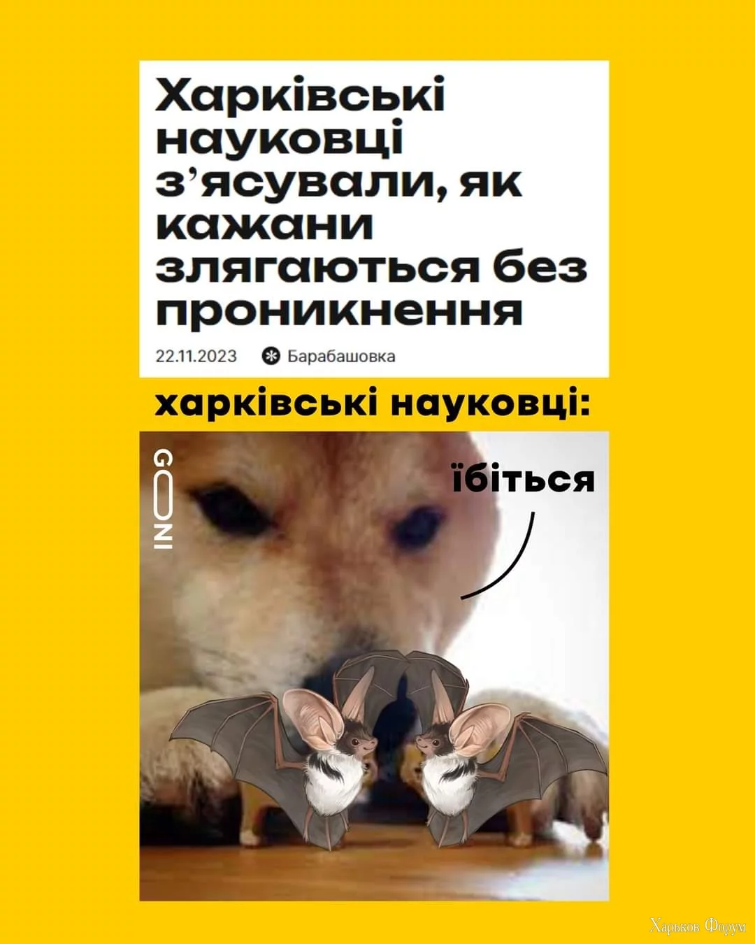 FB_IMG_1700731329833.webp