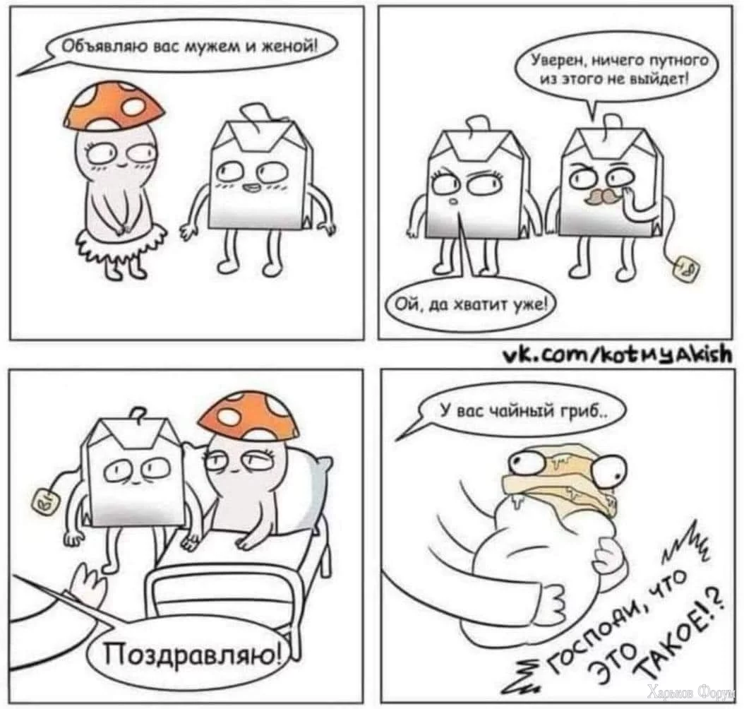 FB_IMG_1702223655334.webp