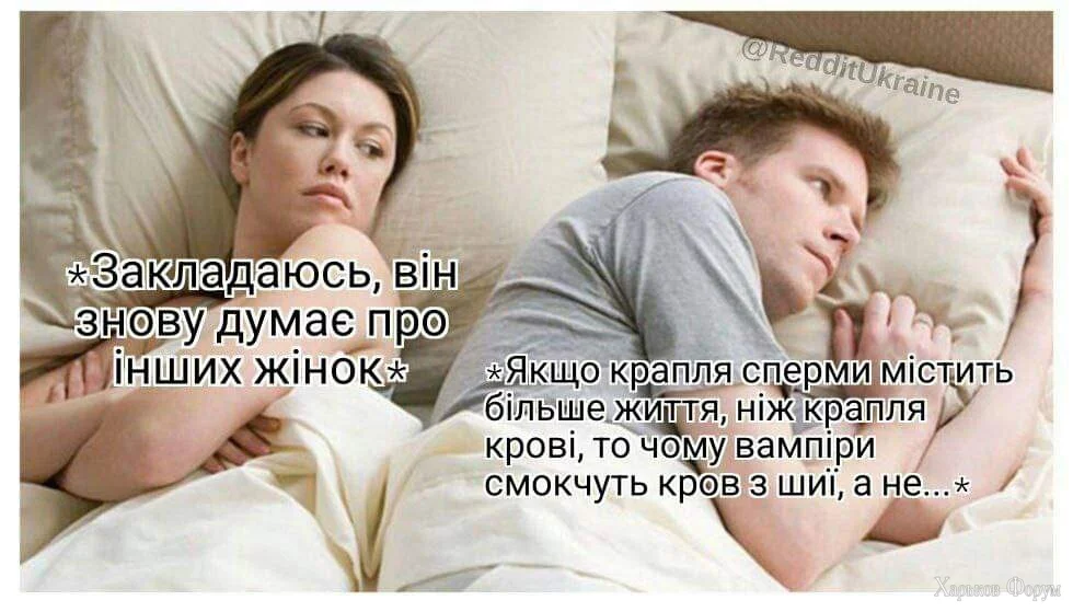 FB_IMG_1702223688131.webp