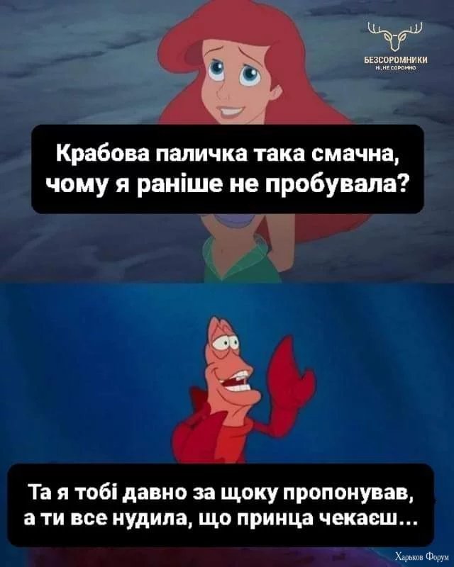 FB_IMG_1702717390511.webp
