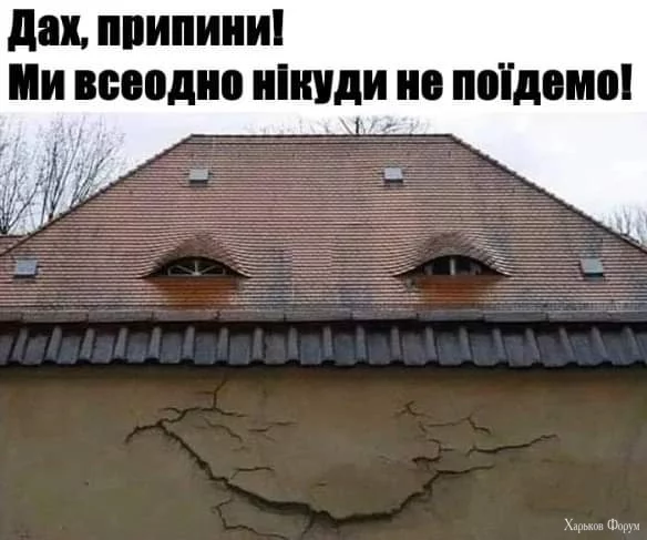 FB_IMG_1708966639165.webp