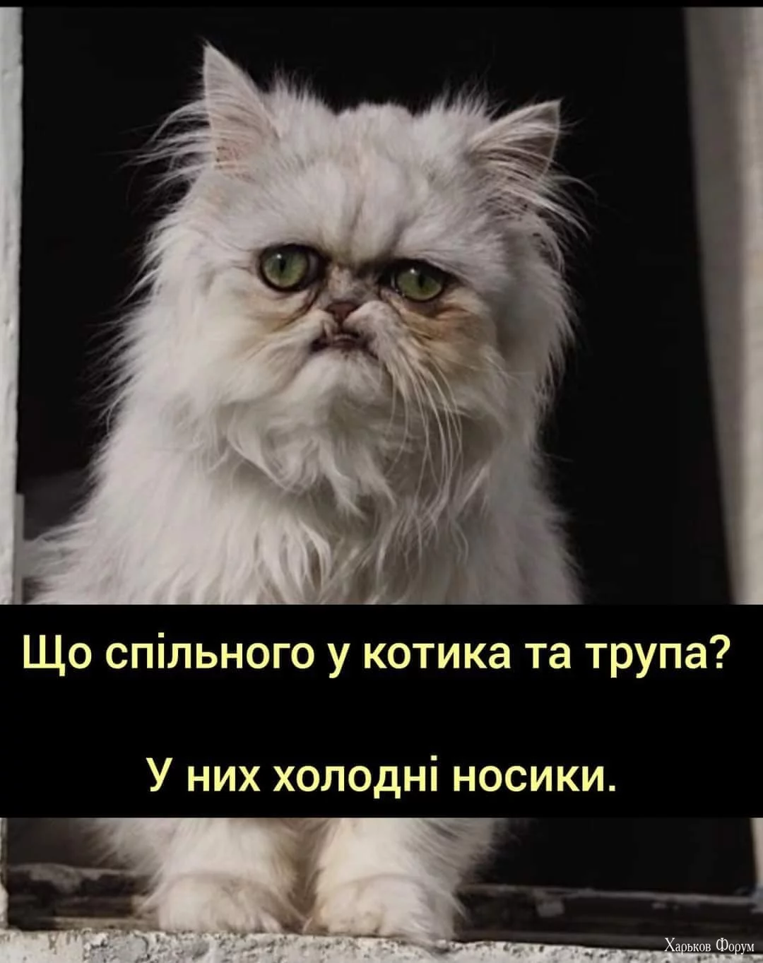 FB_IMG_1709359027242.webp