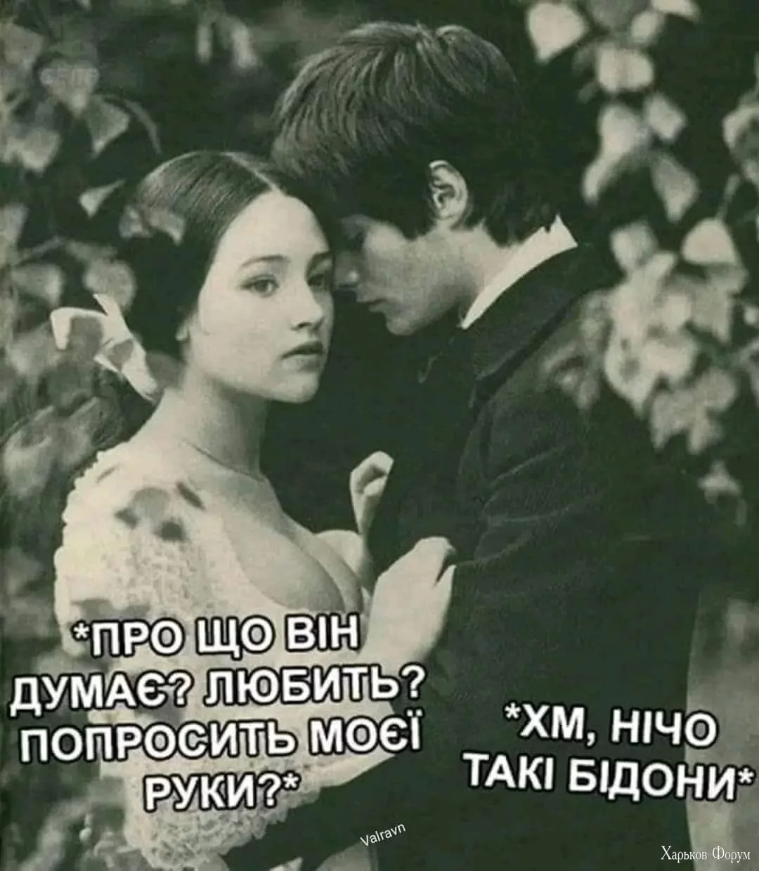 FB_IMG_1709925209486.webp
