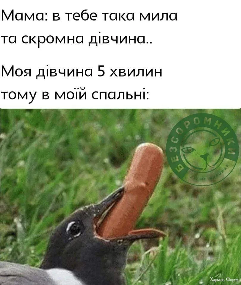 FB_IMG_1709960834190.webp