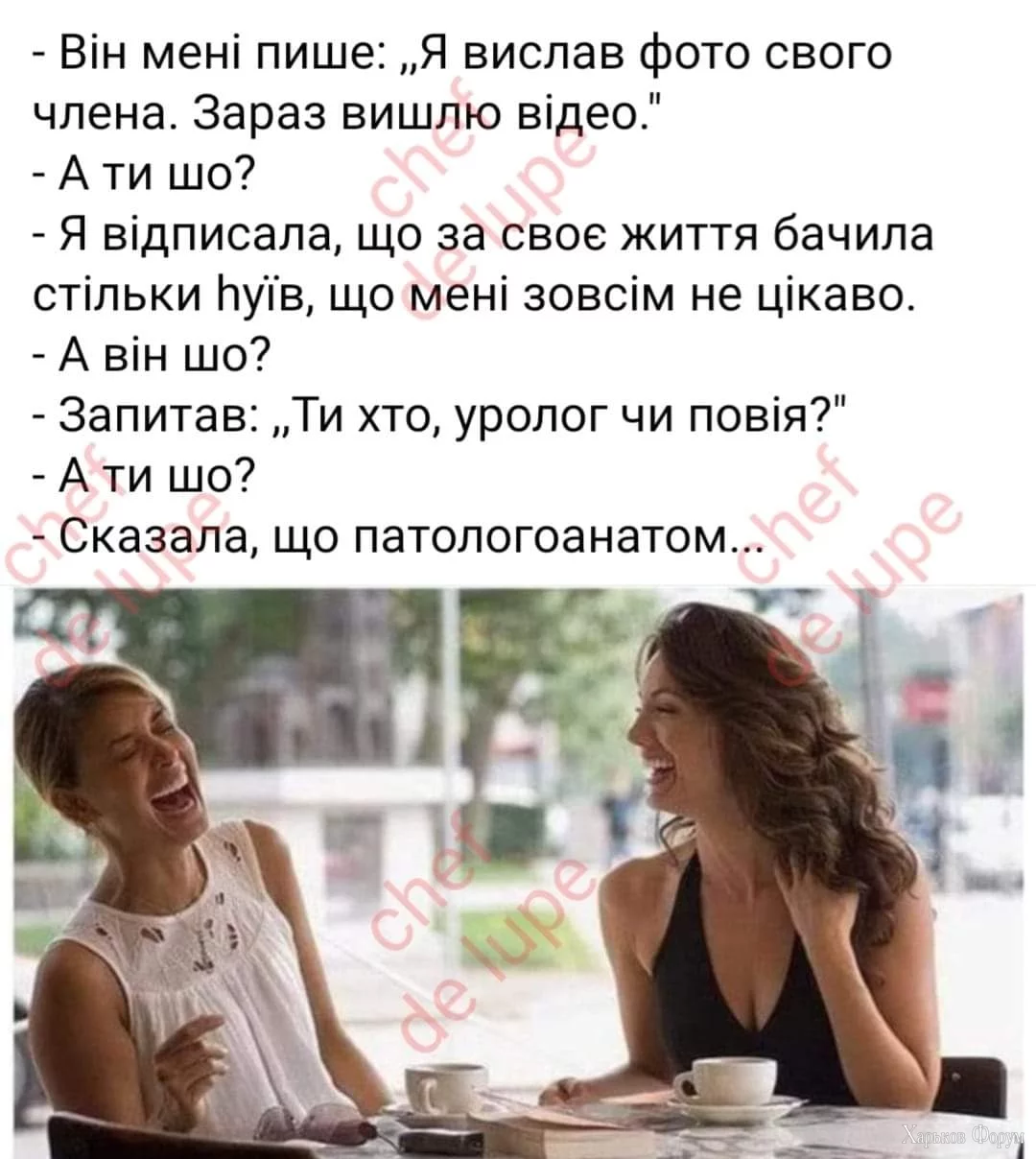 FB_IMG_1710249010579.webp