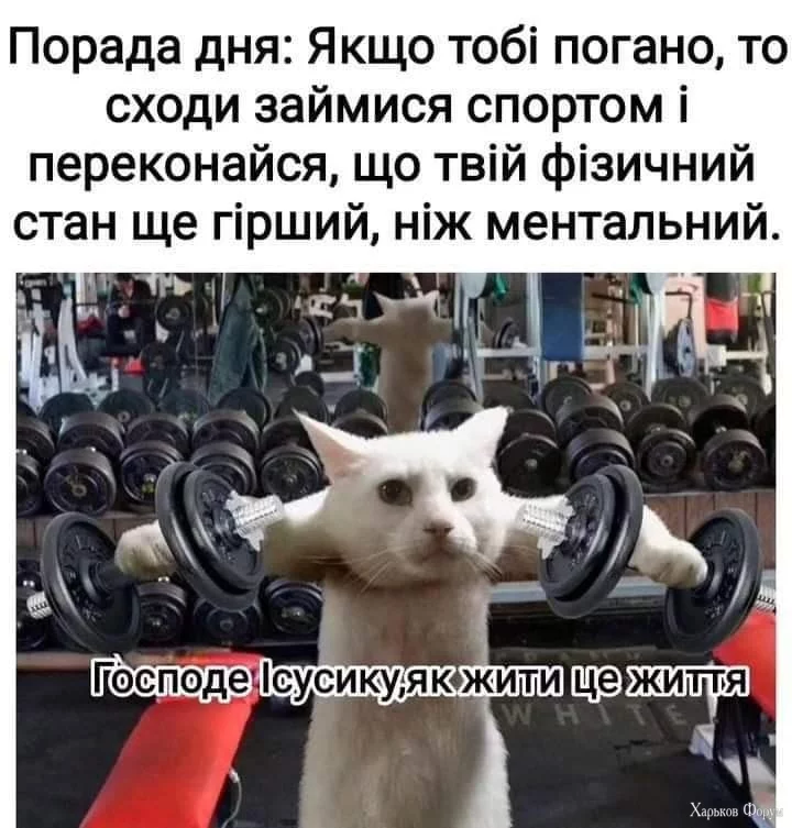 FB_IMG_1714685362457.webp