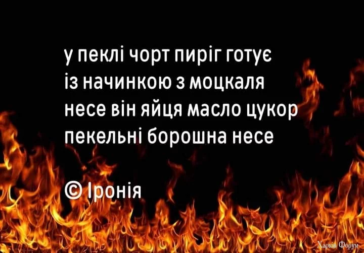 FB_IMG_1730317775472.webp