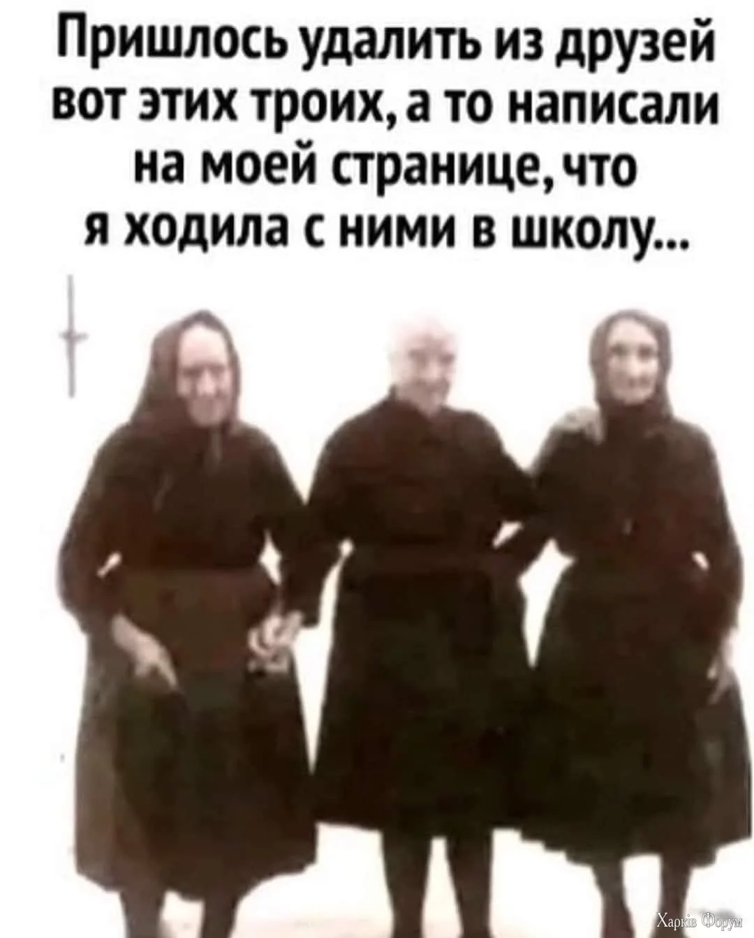 FB_IMG_1732634220269.webp