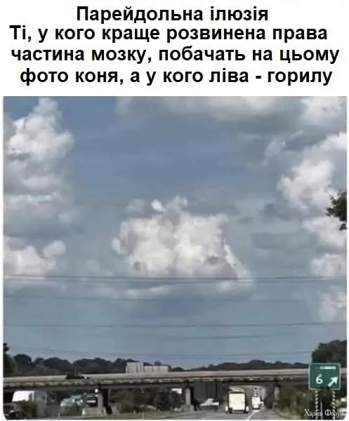 FB_IMG_1735413633450.webp