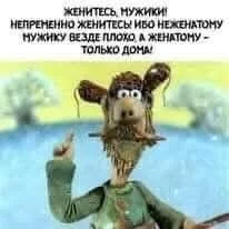 FB_IMG_1736703209340.webp