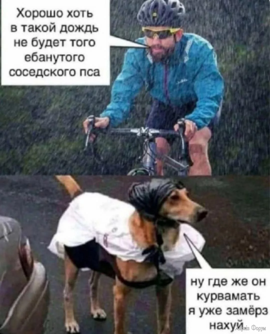 FB_IMG_1738177292185.webp