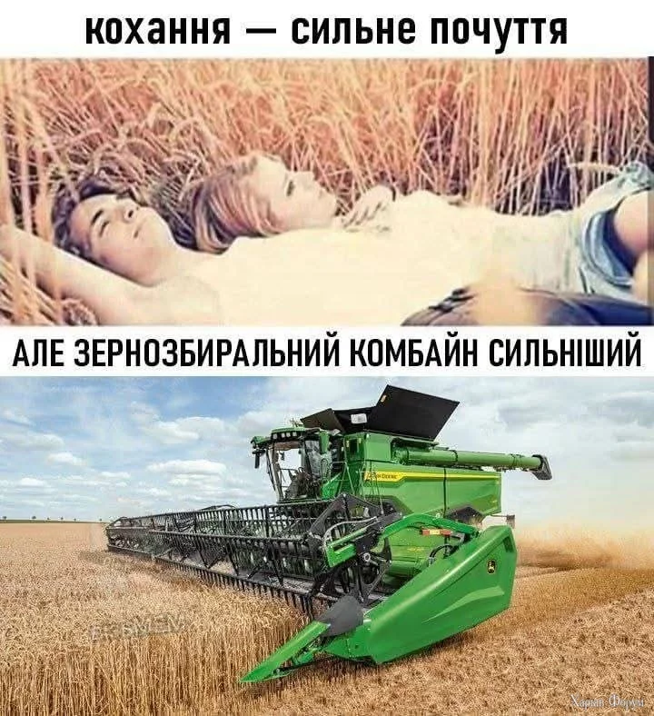 FB_IMG_1739462200253.webp