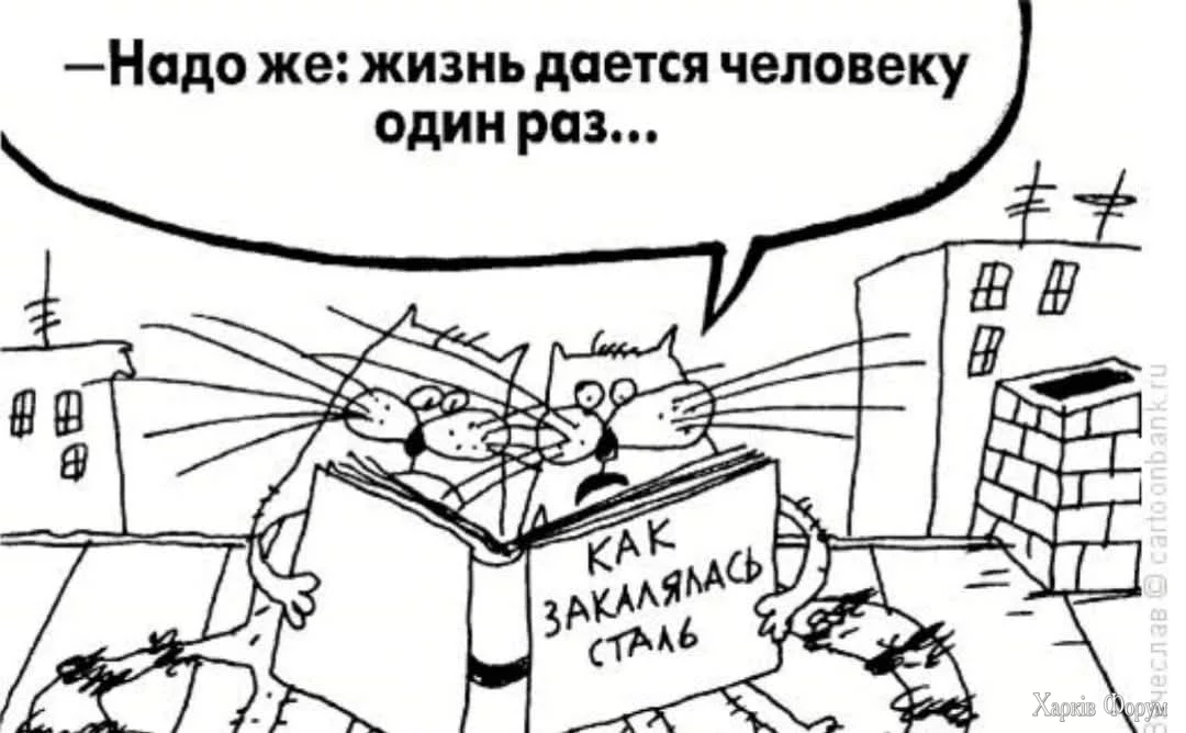 FB_IMG_1740333459904.webp