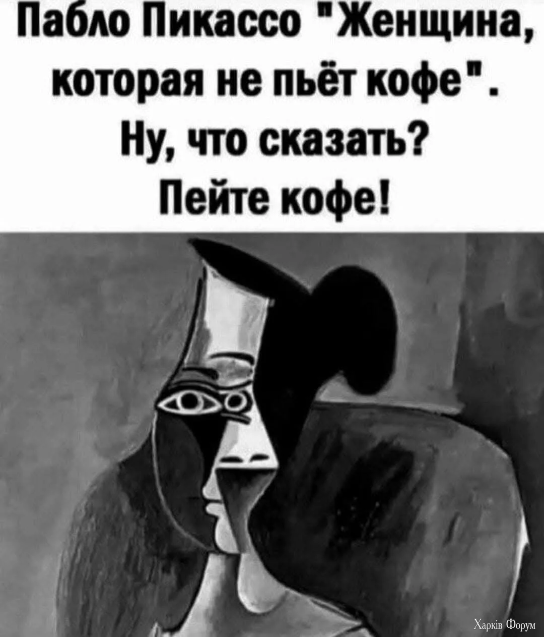 FB_IMG_1740417116543.webp