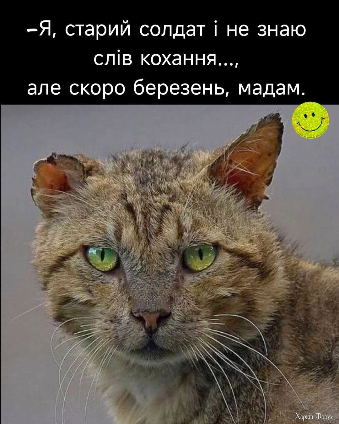FB_IMG_1740931158507.webp