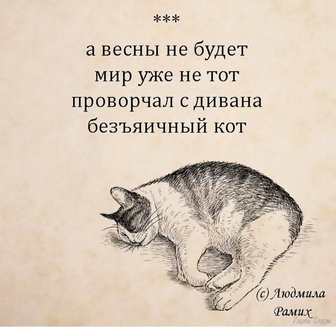 FB_IMG_1741195010506.webp