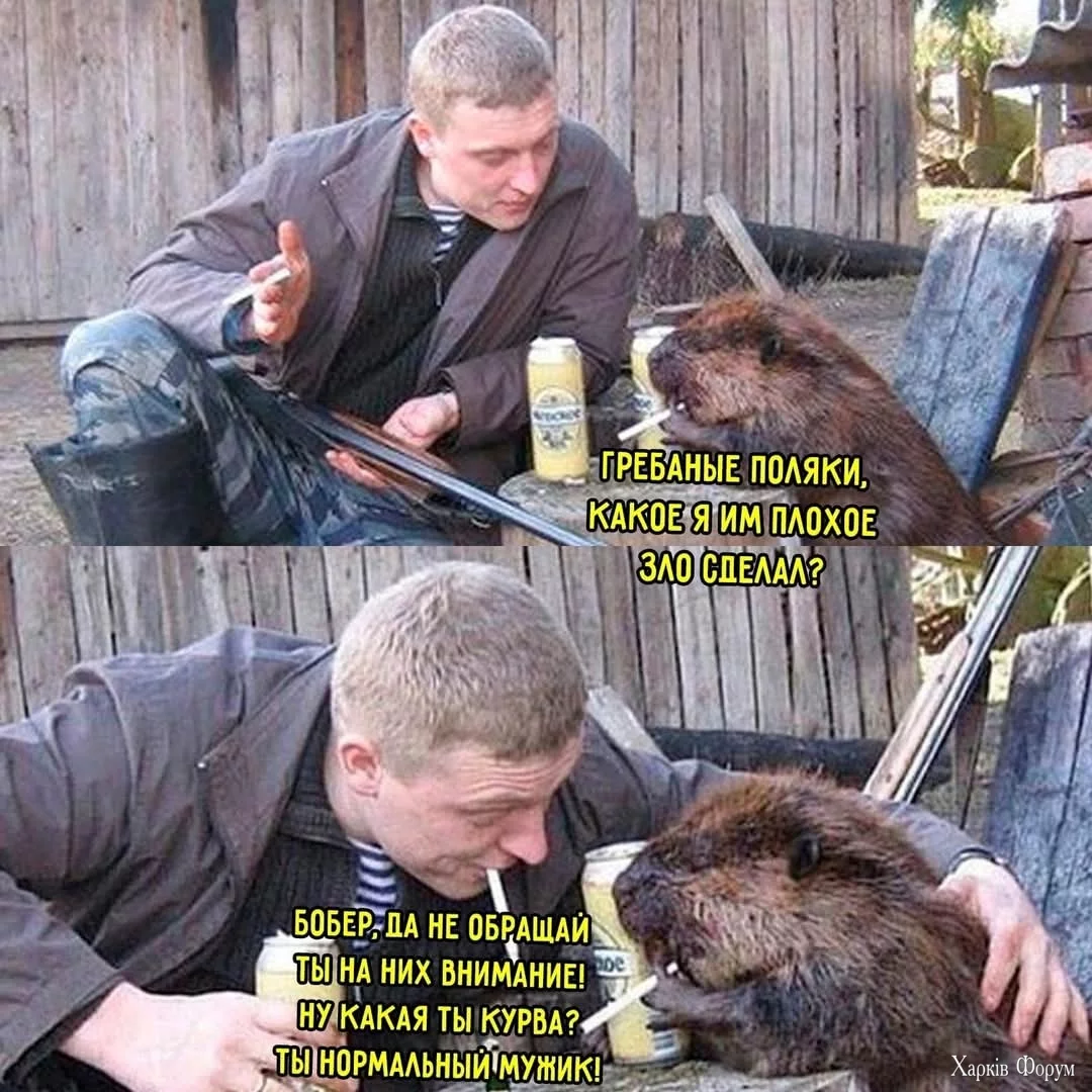 FB_IMG_1742663835660.webp
