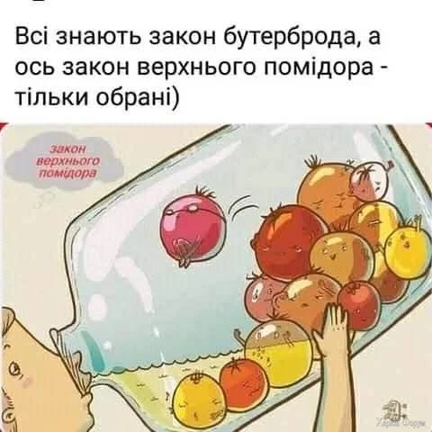 FB_IMG_1744192938327.webp