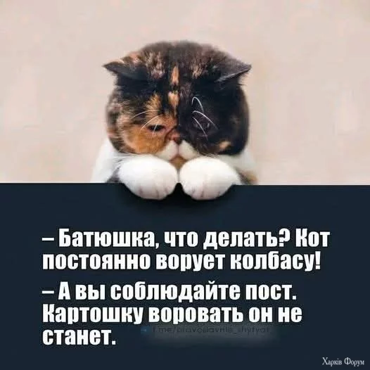 FB_IMG_1744563750440.webp