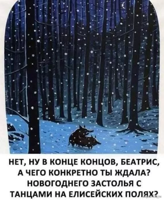 FB_IMG_1746463937970.webp