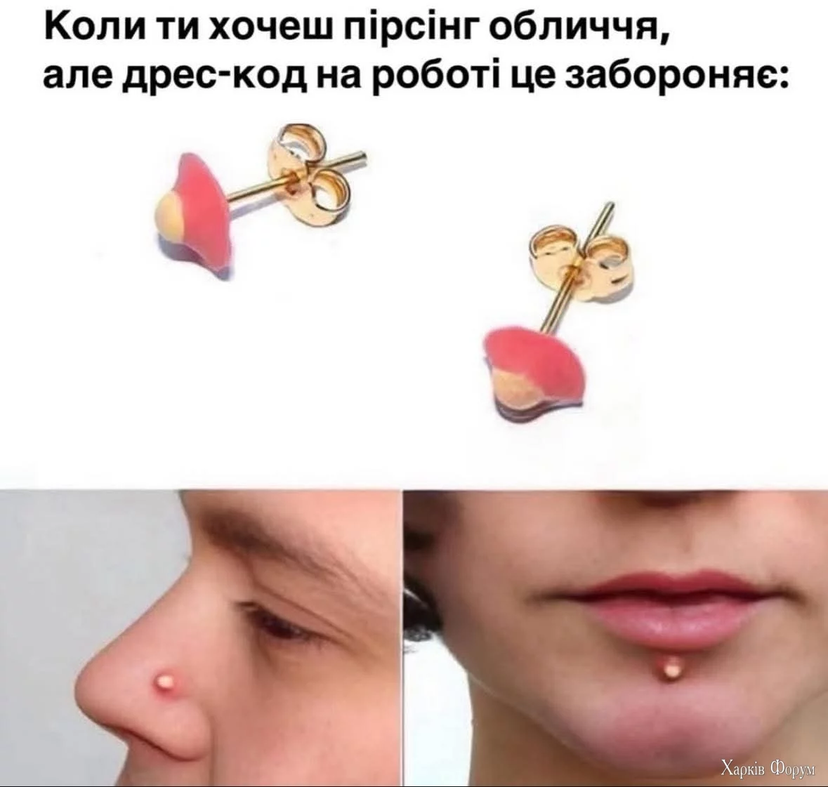 FB_IMG_1752043275031.webp