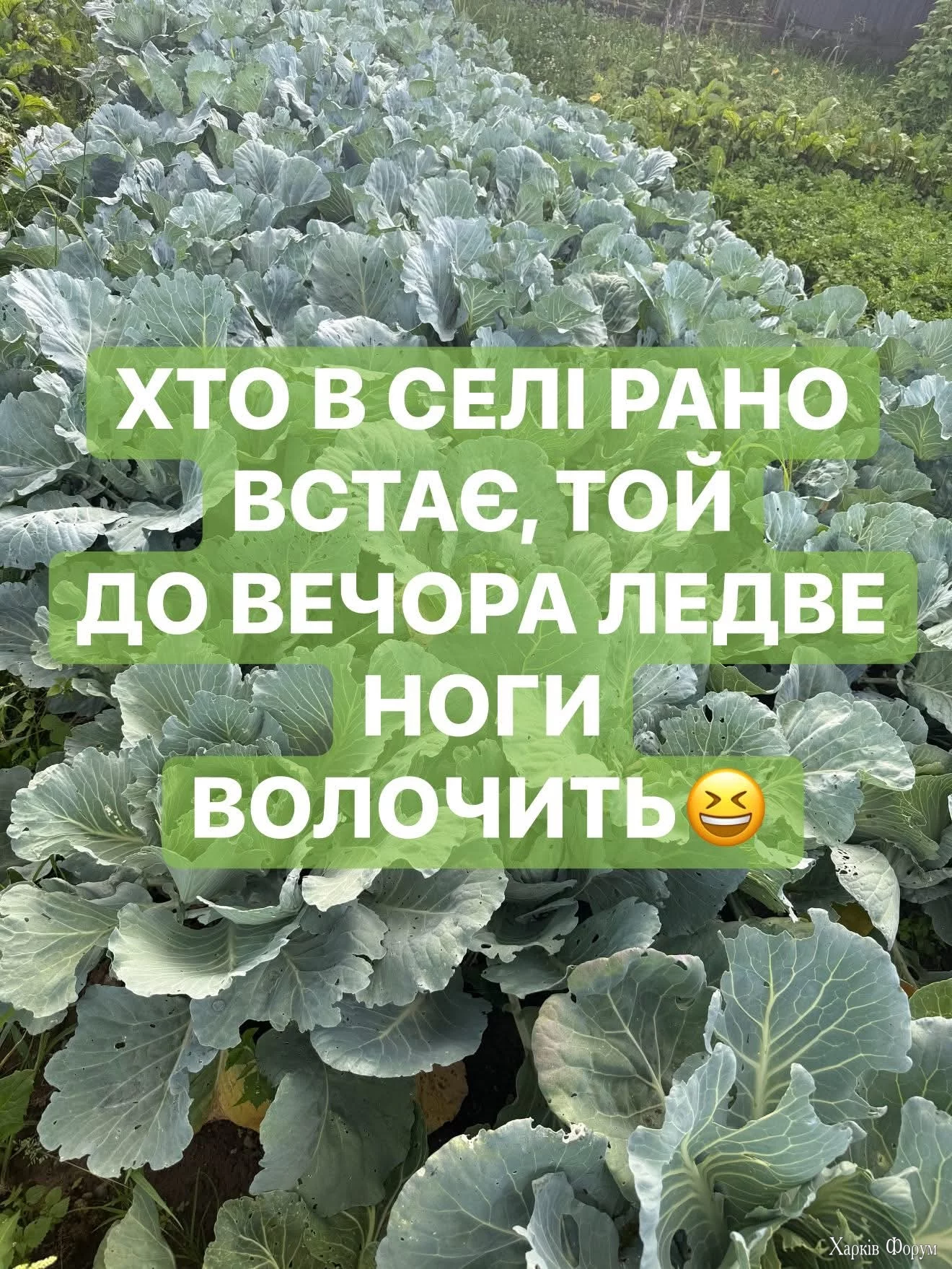 FB_IMG_1753810688498.webp